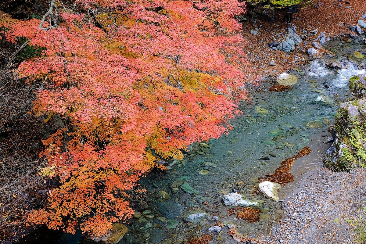 🏞️ 베후 협곡(베후쿄) 이미지 9